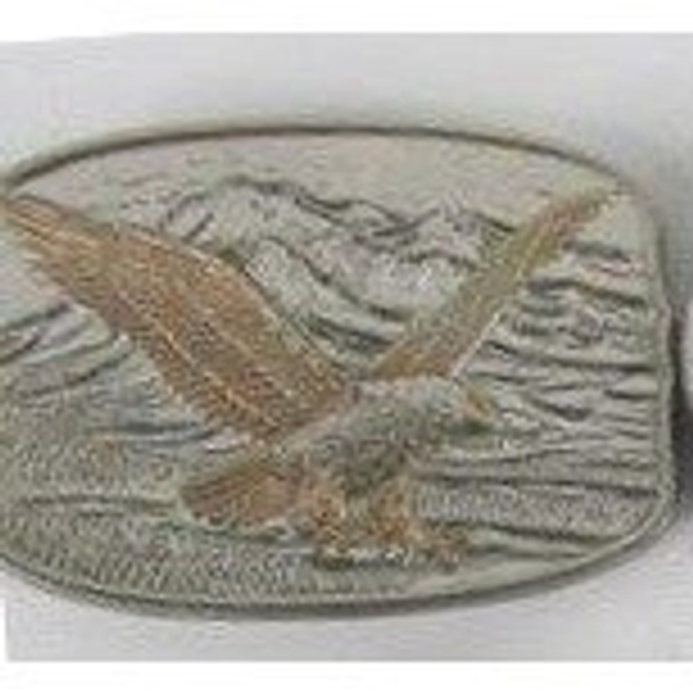 Vintage Western Eagle‎ Mountain Belt Buckle Silver Bronze Two Tone Oval Metal